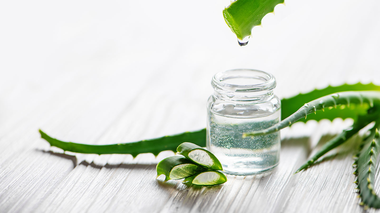 Aloe Vera – Frische aus der Wüste Aloe Vera Frische aus der Wüste