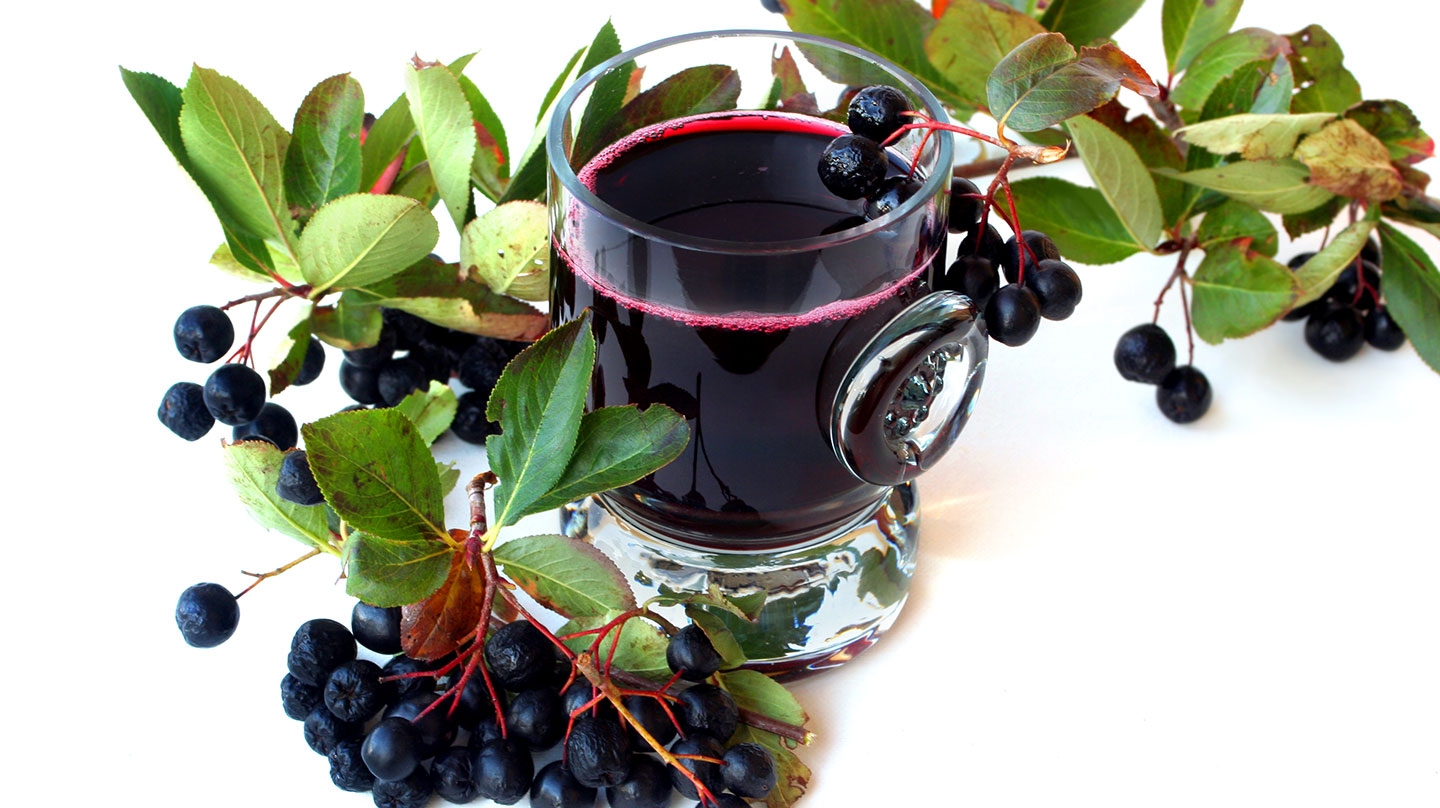 Aronia: Kleine Beere, große Kraft Antioxidative Kraft der Aroniabeeren